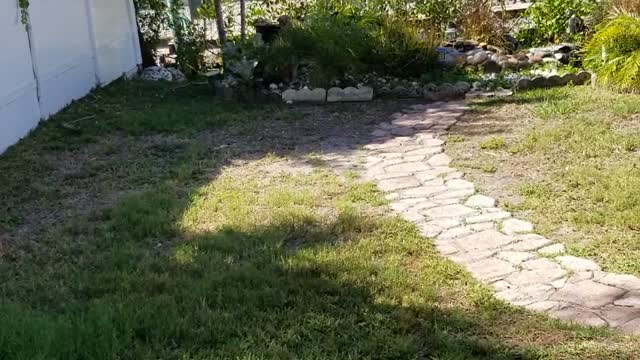 KLOSTERMAN RD W, PALM HARBOR