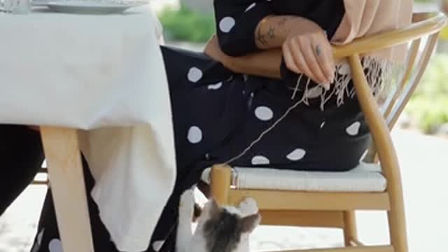 Funy cats and man very Emosnal video