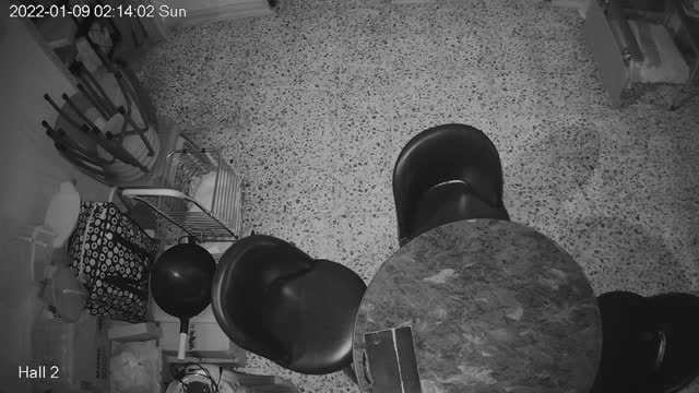 hallmid midnight 20220109