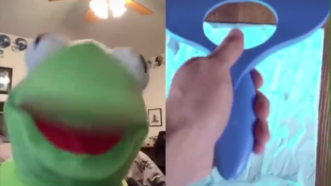 kermit on tiktok