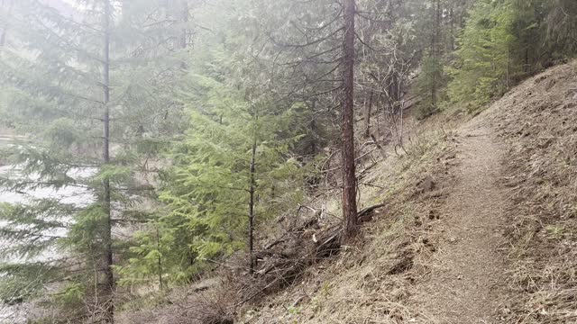 Upper Section of West Metolius River Trail – Central Oregon – 4K