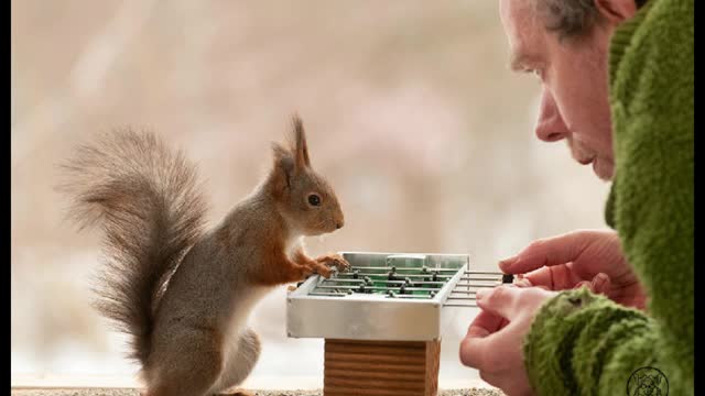 Photographer Captured An Amazing Photo Compilation Of Adorable Wild Squirrels