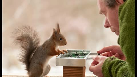 Photographer Captured An Amazing Photo Compilation Of Adorable Wild Squirrels