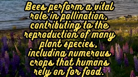 Animal Facts Bees #shorts