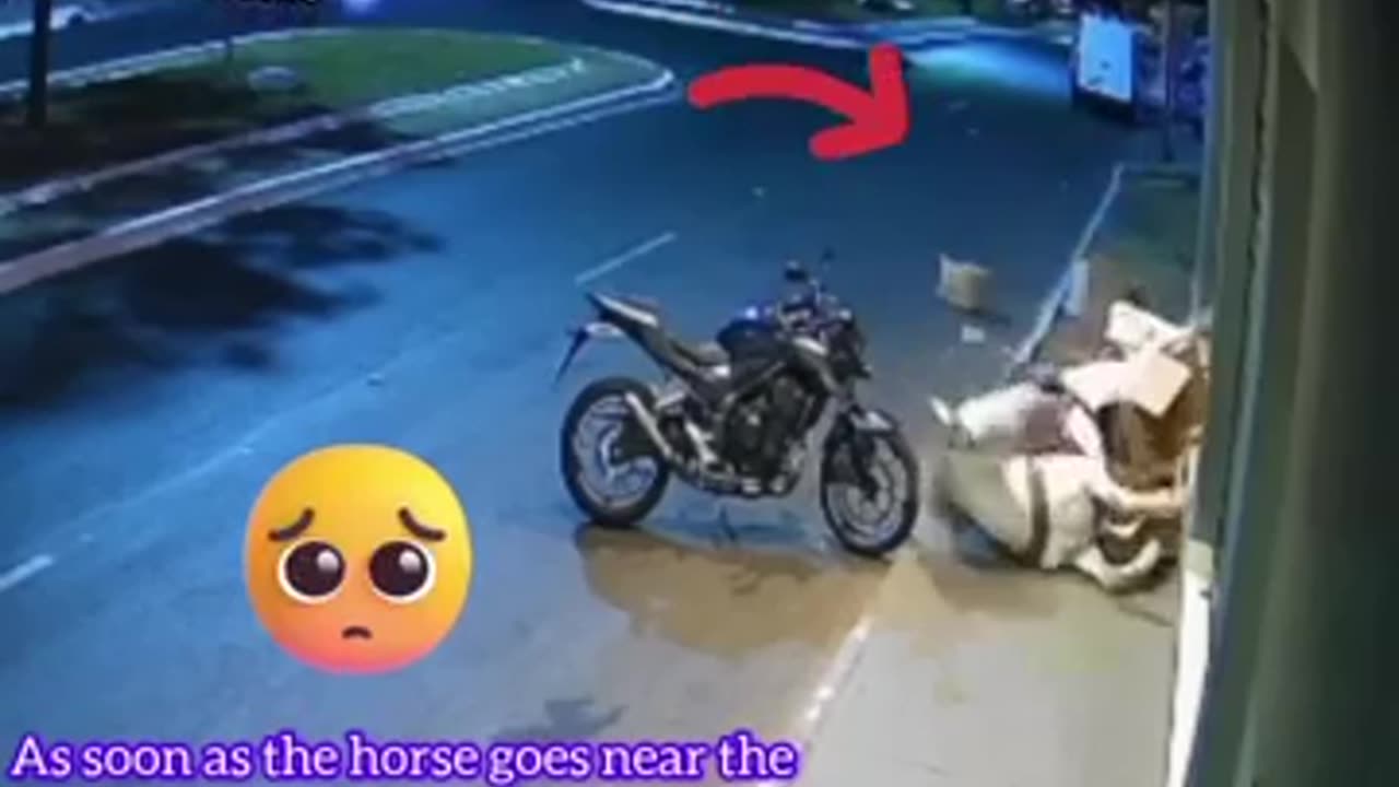 The Horse Fell 😱 घोड़ा गिर गया 😍 #shorts #viral #youtubeshorts #status