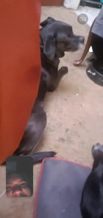 “Wanna Go For A Walk?” (May 2022)