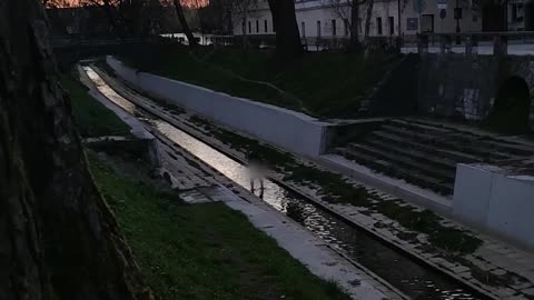 Man Washes Up in Creek Due to Toilet Paper Shortage