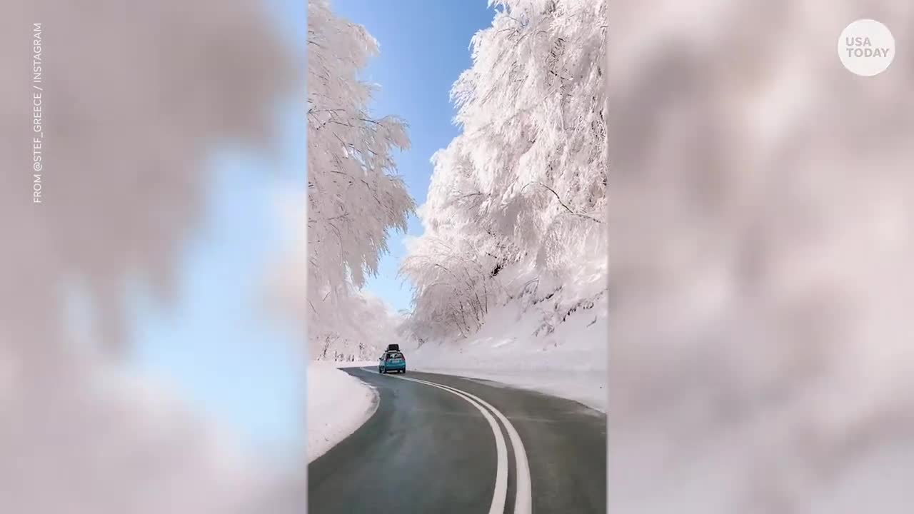 Magical snowfall turns a road into a winter wonderland