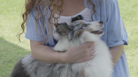 The girl is playing with the puppy | Animals World