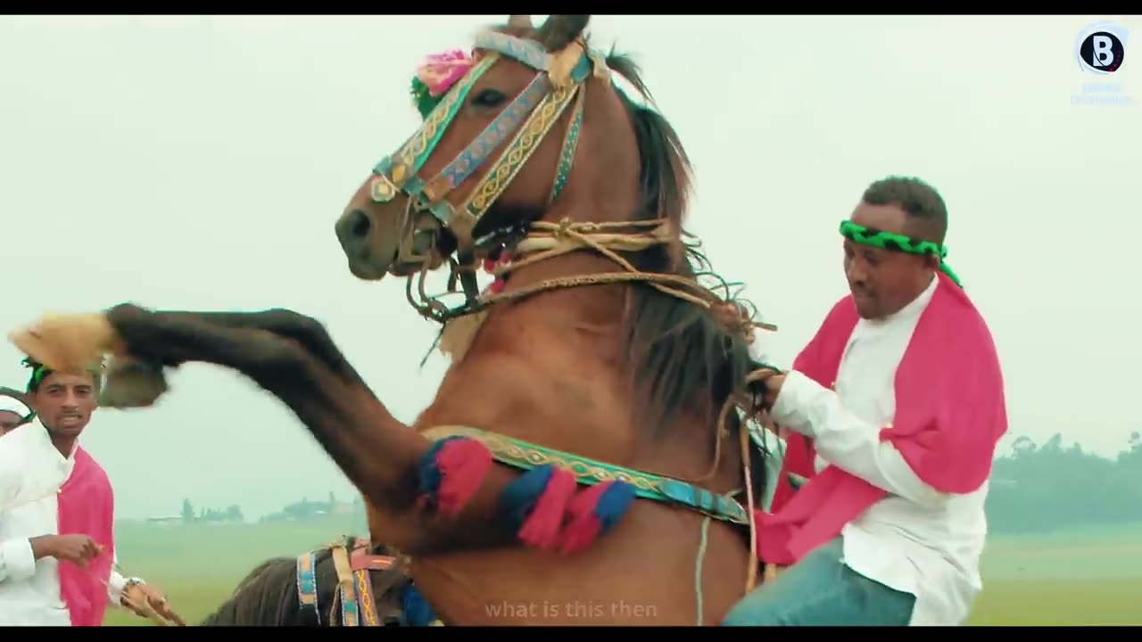 HAMBAA Oromo Music by GajoTilahun