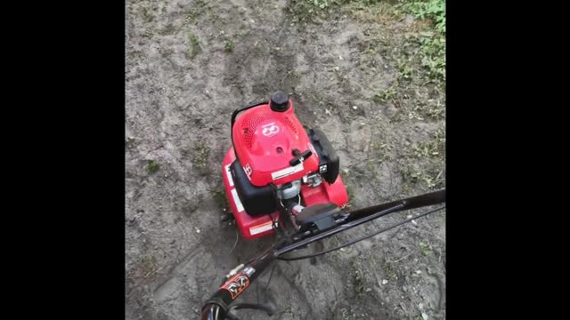 Preparation for new grass