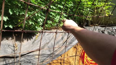 4 WHAT AM I DOING ABOUT IT