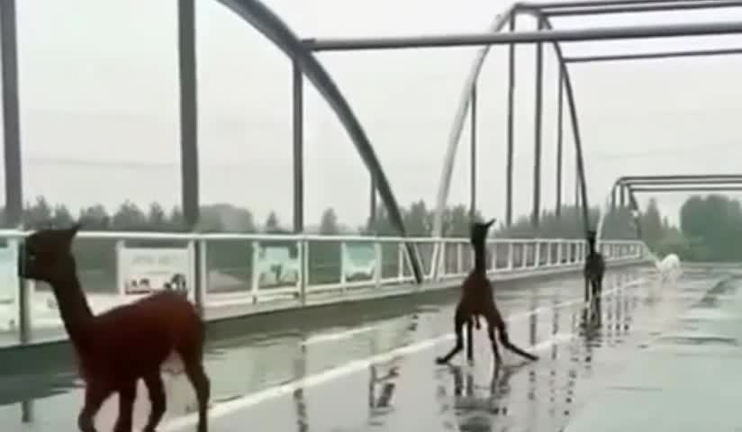 Getting difficult to running on the road