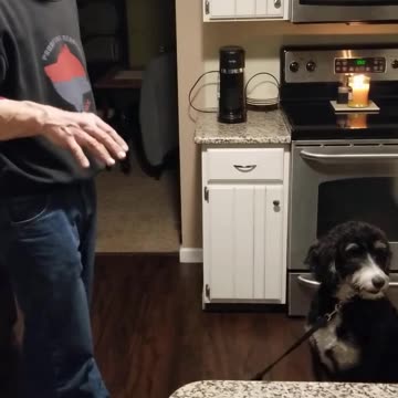 Roxy countersurfing Intro