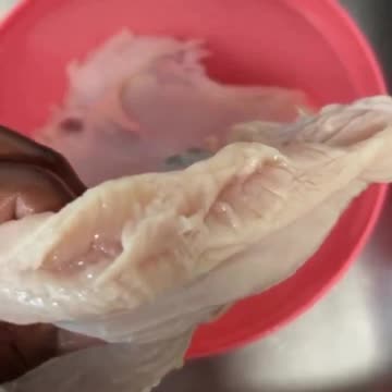 🐓 Chicken grown in steel tanks