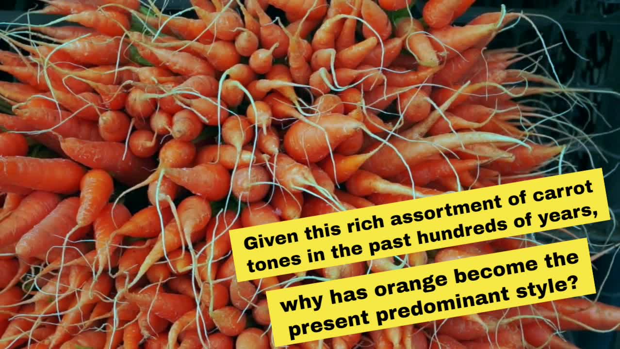 Apiaceous family, the orange carrot we know today