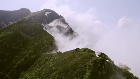 Amazing Natural Video - Makes Mood Happy with Birds Sound