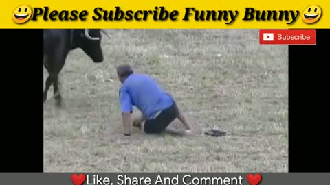 Best funny videos 2021 Most awesome bullfighting festival funny crazy2=21