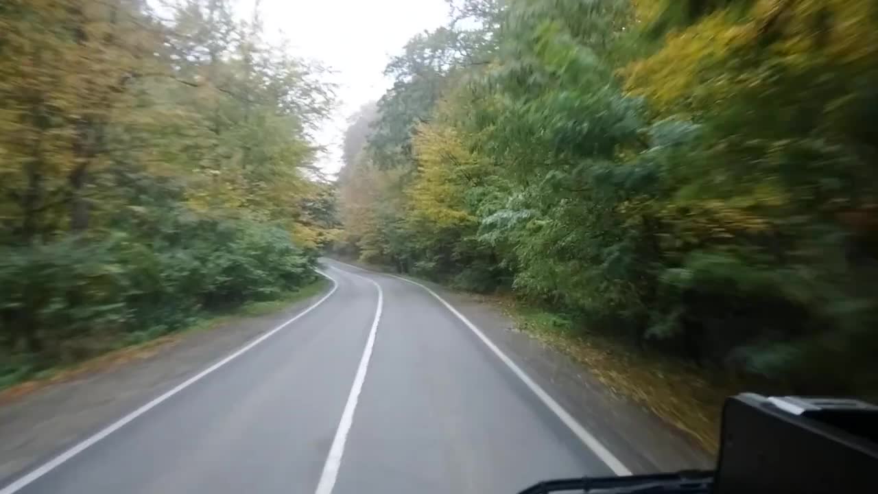 Copacul ereticului Daniil Horga - VASILE