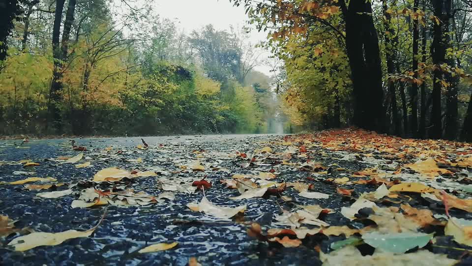 Rain Sound to Sleep