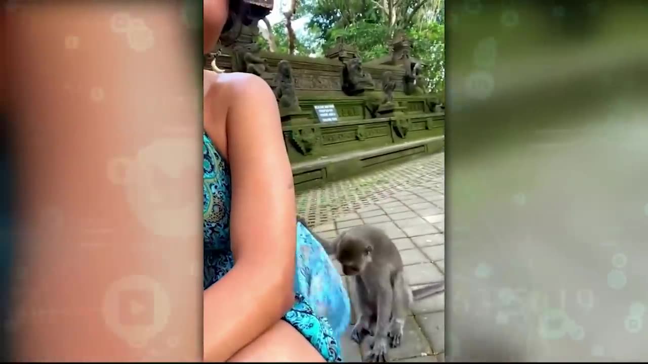 इन जानवरों से पंगा ना बाबा ना 😁🤣.... Funny Animals Video 2023