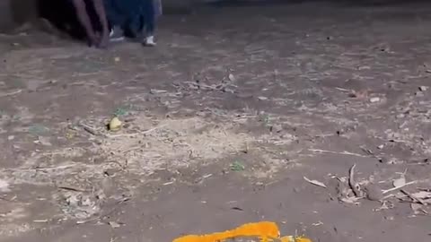 #funny