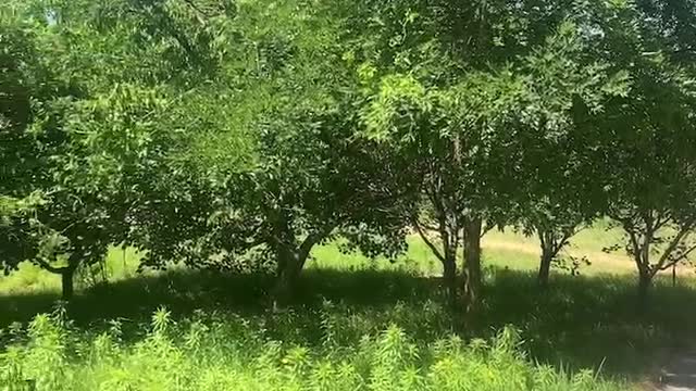 Unique scenery in the park