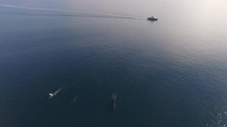 Photographer Catches Amazing Bird's-Eye View Footage Of Fin Whales