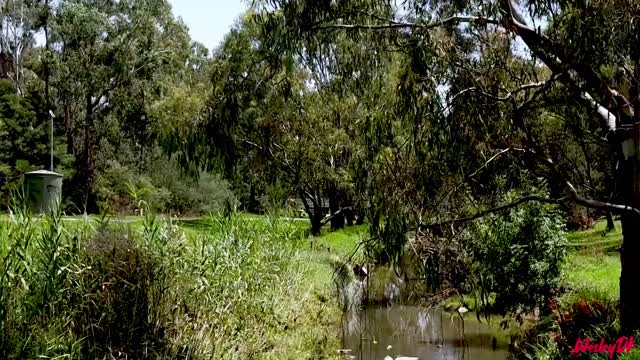 Yarra Bike Trail Victoria Australia