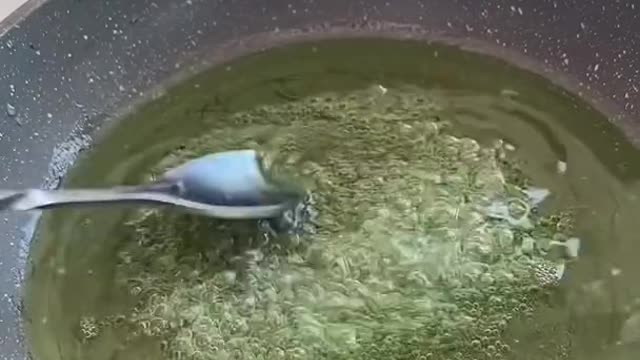 Cats Taking Funny Video Next Level