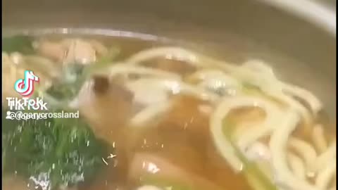 Pho rapping Tofu