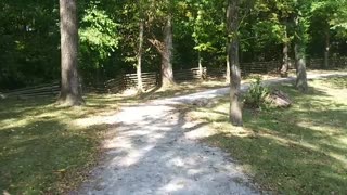 Virtual Walking Trail Sounds POV RELAX Nature Watch on Treadmill Path Pond Bridge Crunching Noise