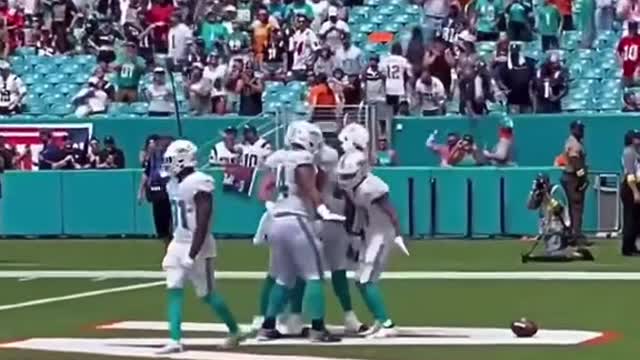 Miami Dolphins gamedays