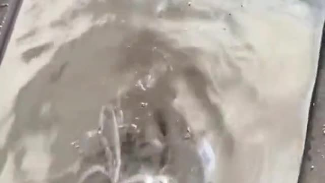 The old patriarch laughed, he knew it was done,