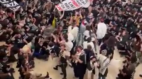 The United States Capitol has been taken over inside and outside by pro-Palestine protesters