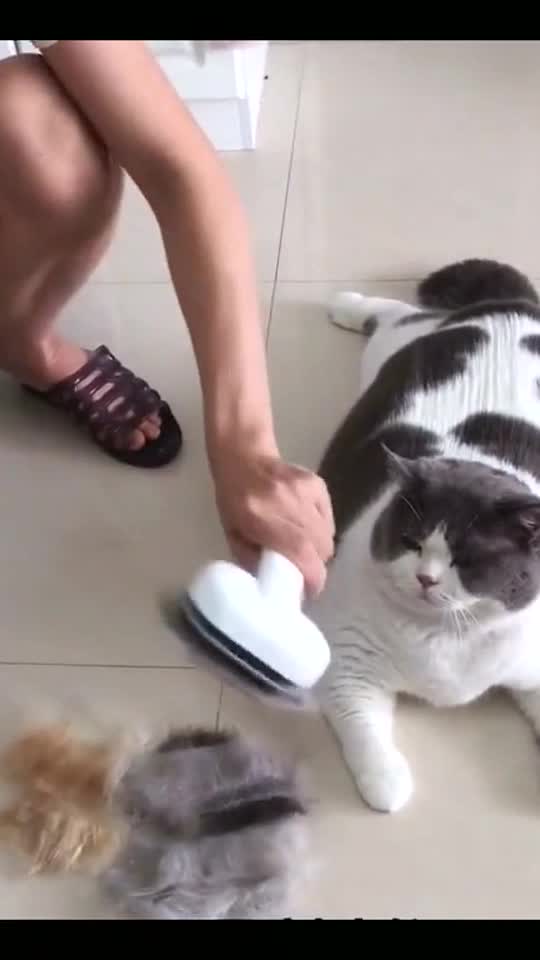 Pet hair brush