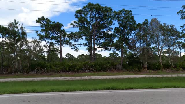 (00326) Part One (D) - Pine Island, Florida. Sightseeing America!