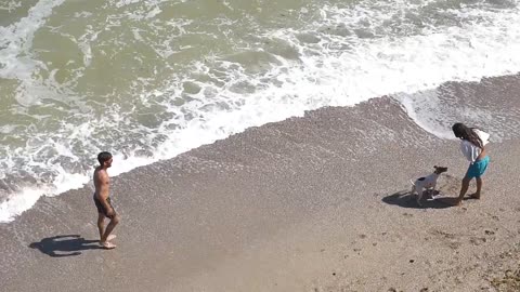 Couple on the beach playing with pet dog