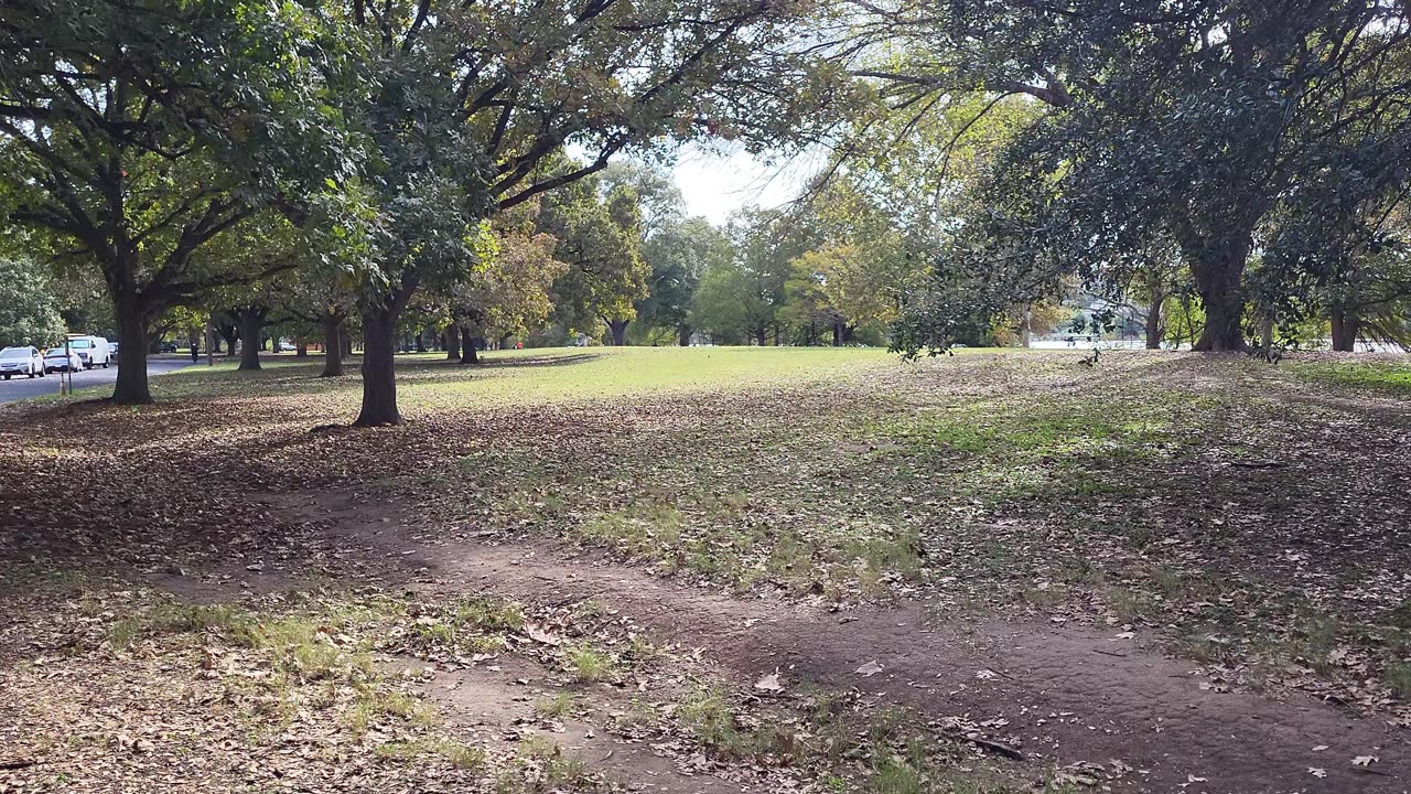 9-Hole Disc Golf Course Proposal 🥏 | Edward Rendon Sr. Park, Austin