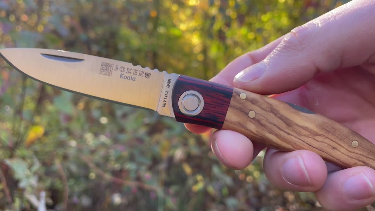 Joker Koala Olivewood/Laminate Quick look by www.bushcraftcanada.com