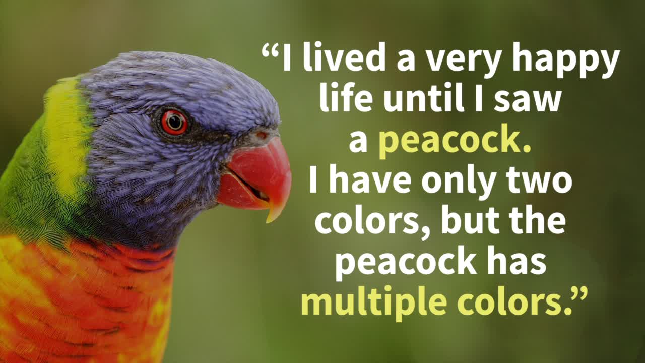 Beautiful story: The Crow and the Peacock