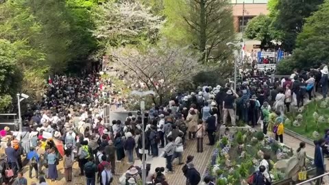 NOW, Tokyo — large anti-pandemic treaty march is gathering now