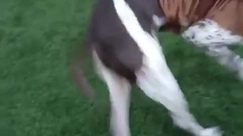 The full 8 second ride.