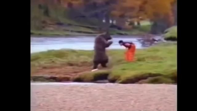 Dancing bear🐻 Bear fighting with man