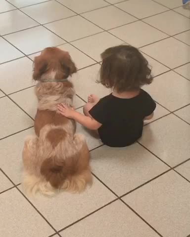 Little girl chatting with her dog