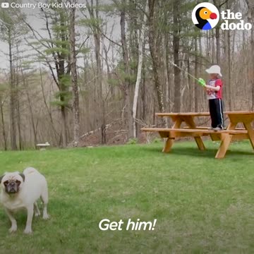 Boy And Pug Had The BEST Friendship | The Dodo