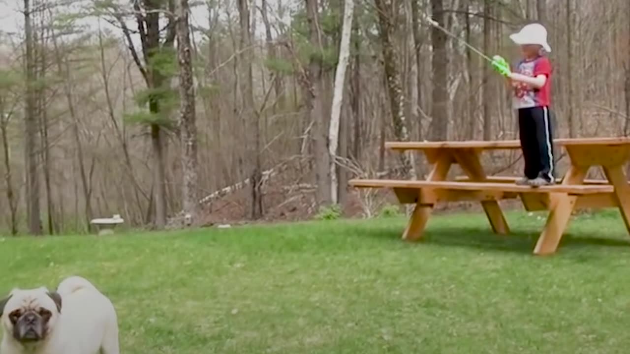 Boy And Pug Had The BEST Friendship | The Dodo