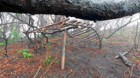 Camping alone building my survival shelter. Bushcraft. Camping in the rain