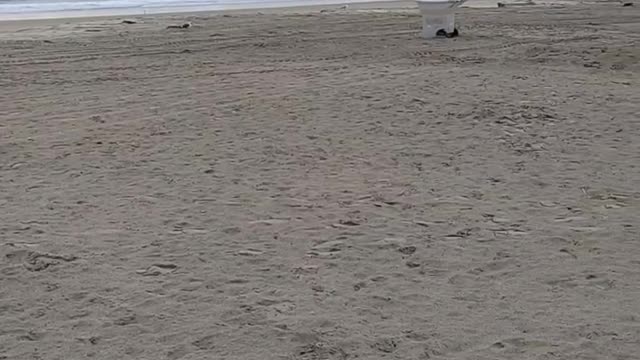 A Most Famous Deserted Beach!