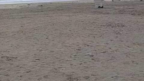 A Most Famous Deserted Beach!